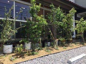 本日、講習会のためヘアーはお休みとなっております！　　蒲郡にある美容室・ネイルサロン『らぷち』