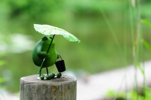 雨が多いですね…　　　蒲郡にある美容室・ネイルサロン『らぷち』