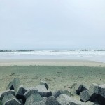 IMG_1271